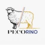 PECORINO profile picture