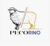 PECORINO Profile Picture