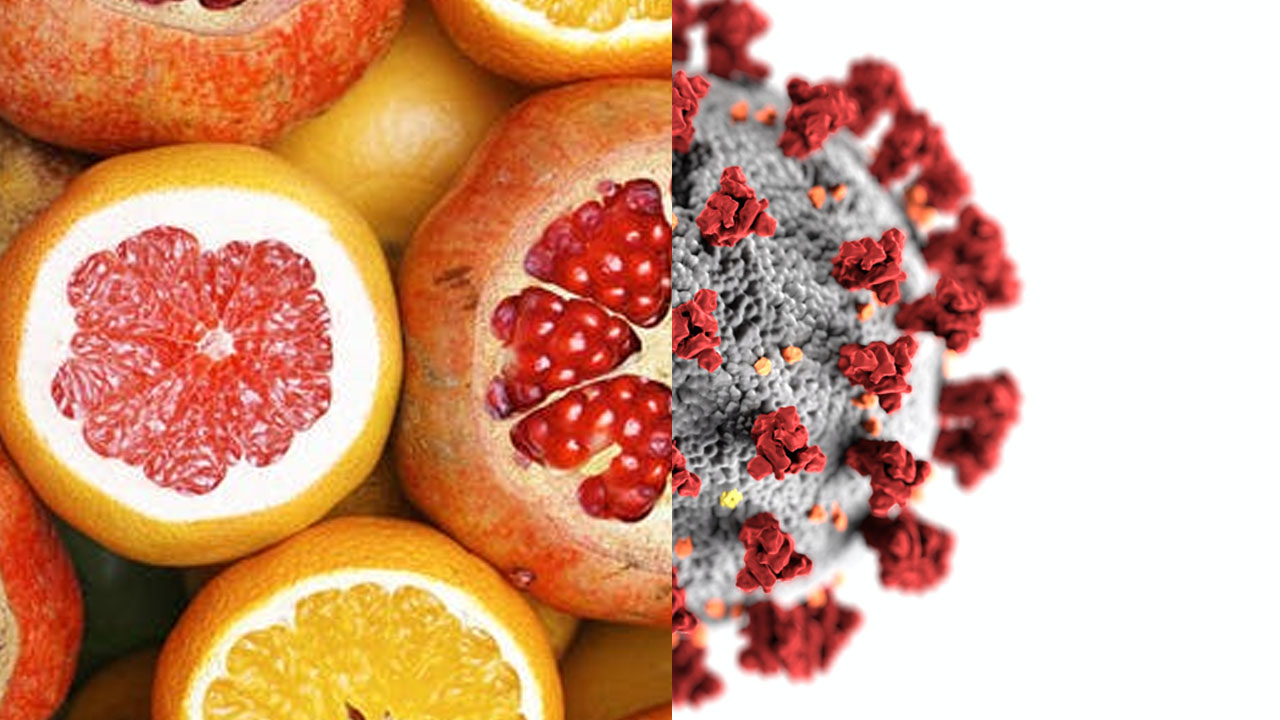 Publicação do ICMSF sobre SARS-CoV-2 (coronavírus) e sua relação com a Segurança dos Alimentos | Food Safety Brazil