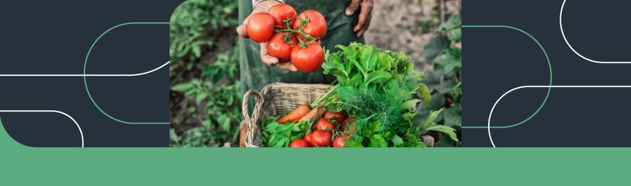Portal e-food | Farm-to-Table - a conexão entre Chefs e produtores por meio do uso de produtos locais