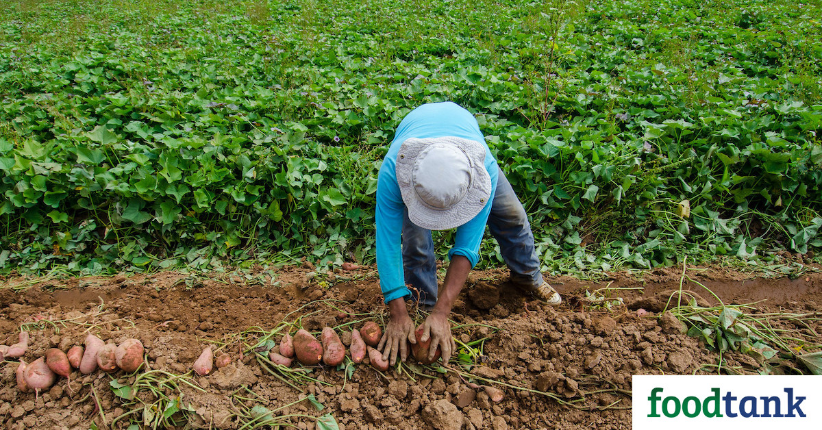 121 Food Organizations to Watch in 2021 – Food Tank