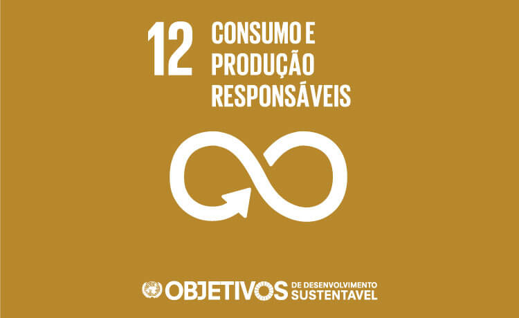 Assegurar o consumo sustentável: metas para alcançar o 12° objetivo dos ODS da ONU