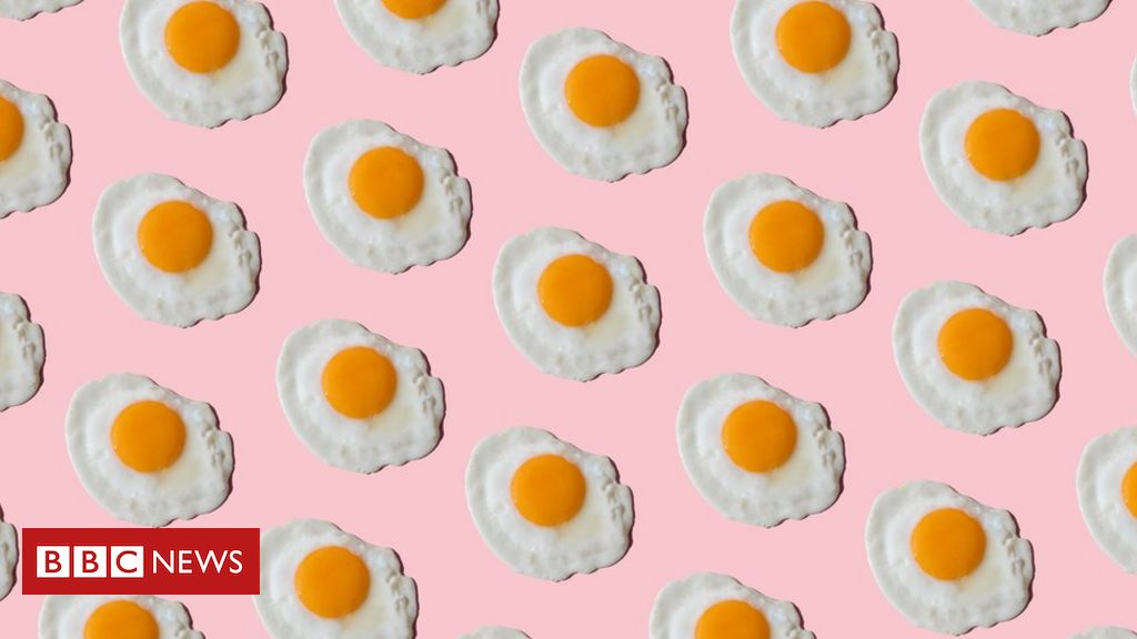 8 dados interessantes sobre os ovos, um dos alimentos mais nutritivos do mundo - BBC News Brasil