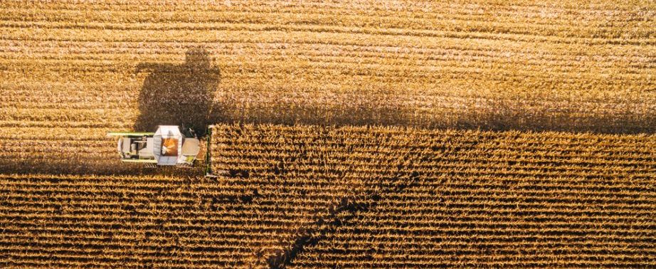 Estado ganha primeiro hub agro com iniciativa da AnLab, Tecnopuc e Ventiur