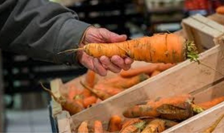 O que os supermercados podem fazer para reduzir desperdício de alimentos - Newtrade