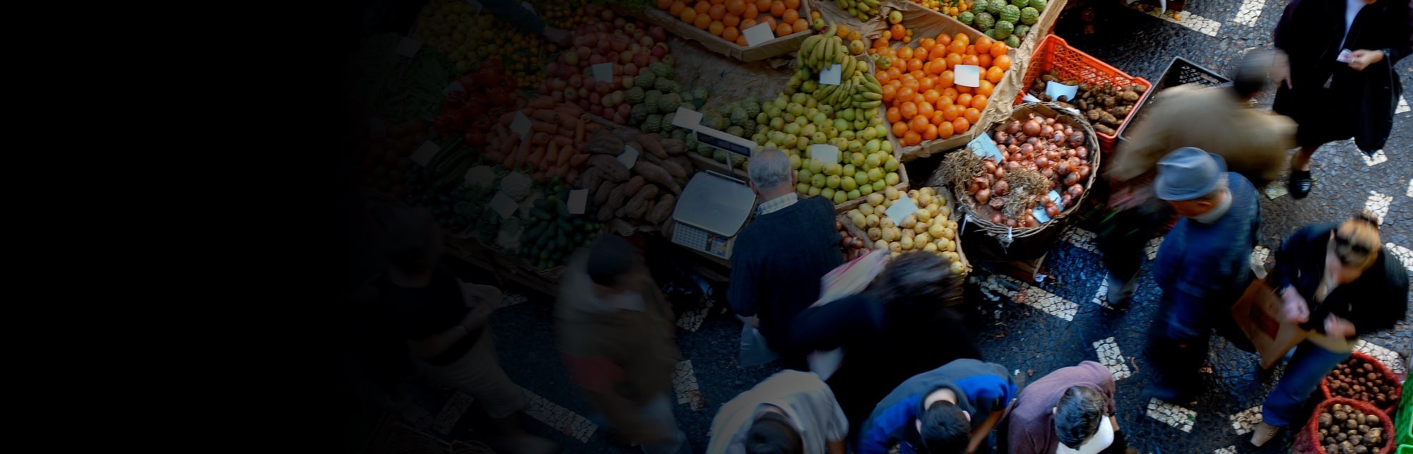 Módulos do IBM Food Trust - Brasil | IBM