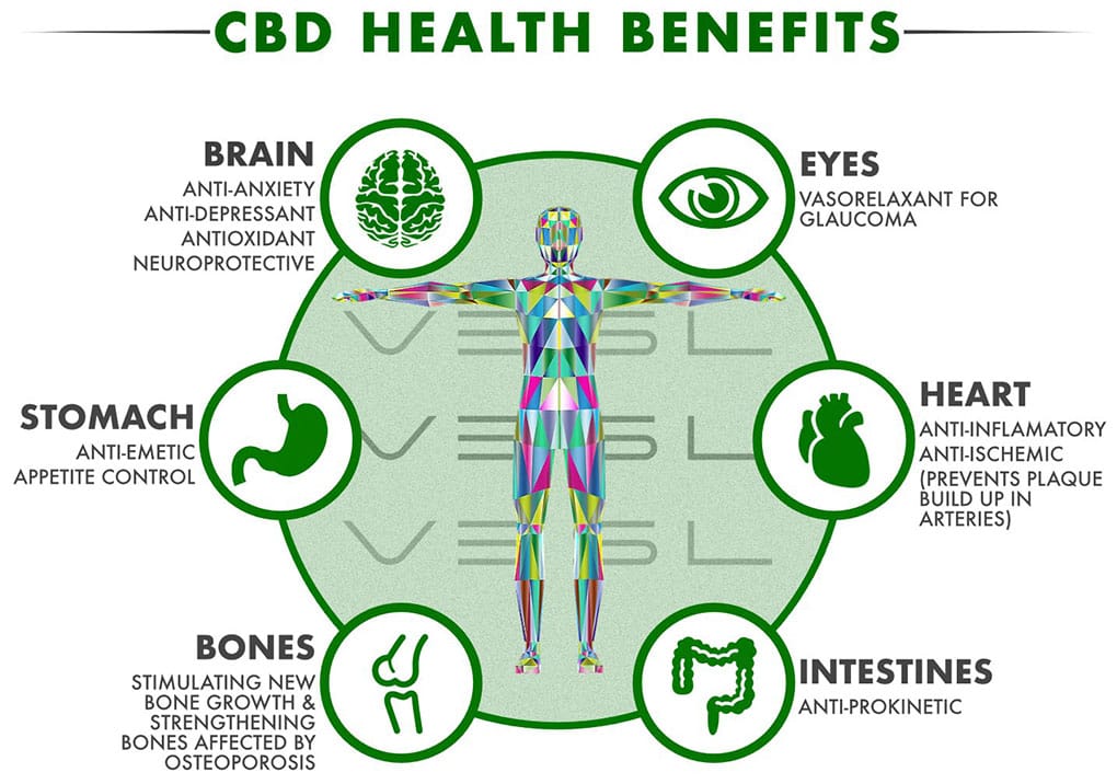 Benefits Of CBD - CBD Oil