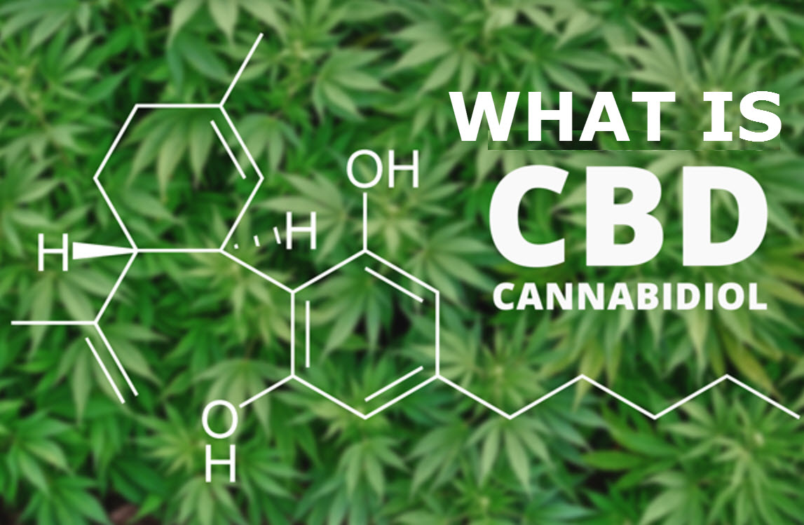 What Is Cannabidiol - CBD Oil