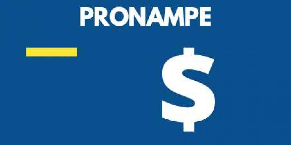 ORIENTAÇÕES SOBRE O ADIAMENTO DAS PARCELAS DO PRONAMPE