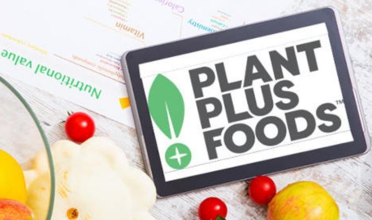 PlantPlus Foods inicia operação com carne ‘plant-based’ no Brasil neste mês - Newtrade