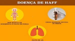 Doença “da urina preta” (Doença de Haff) | Biblioteca Virtual em Saúde MS