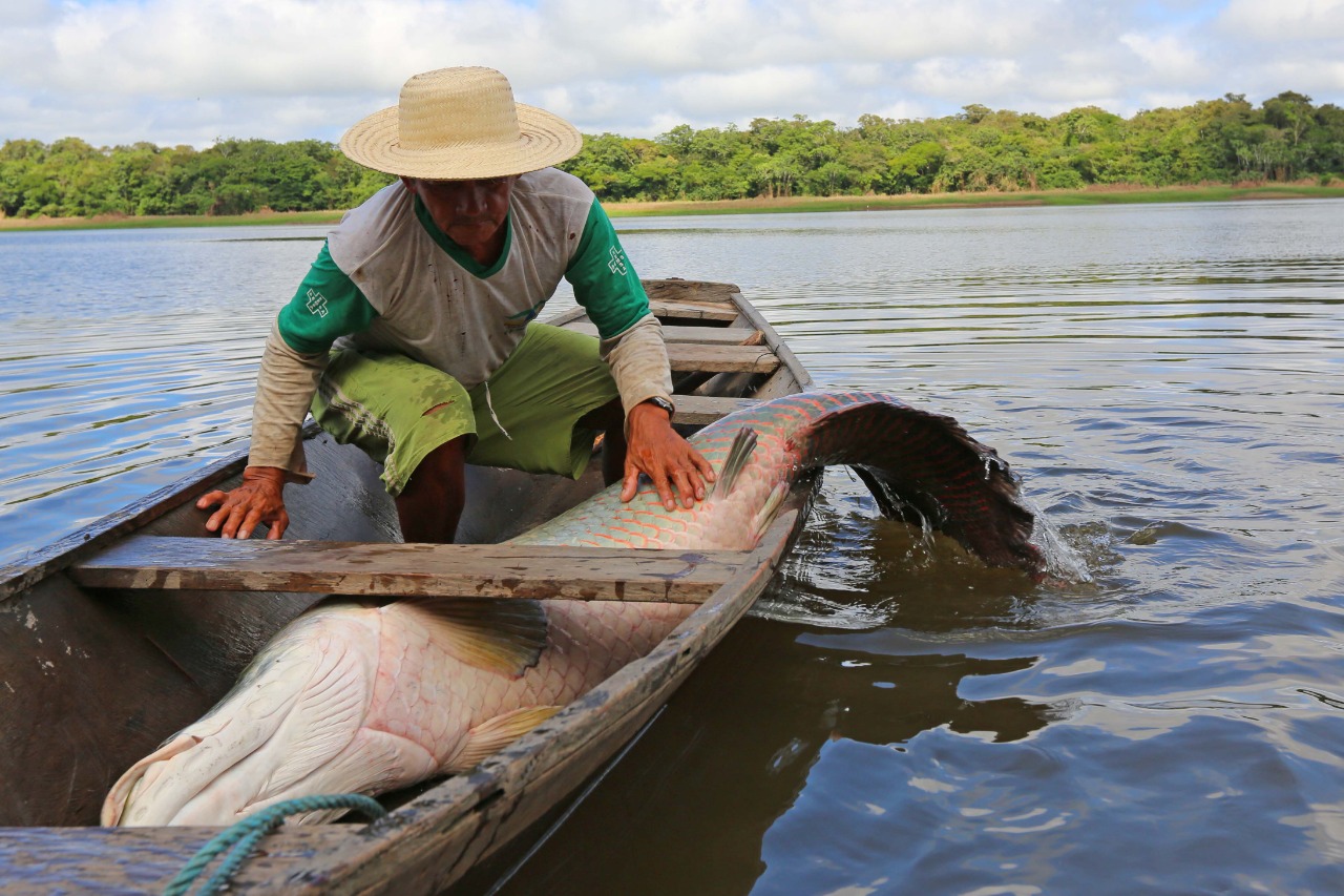 Especialistas analisam atividade pesqueira na Amazônia - Portal e-food | Tudo sobre Segurança de Alimentos