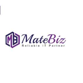 matebiz pvtltd Profile Picture